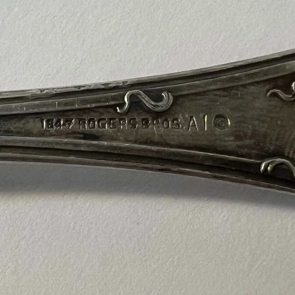 1847 Rogers Bros Vintage Grape Pattern A1 Silver Plated‎ Serving Spoon 8.25